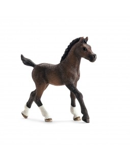 Figurine Poulain Arabe Schleich